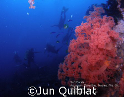 Soft Coral with divers in Duka Bay by Jun Quiblat 
